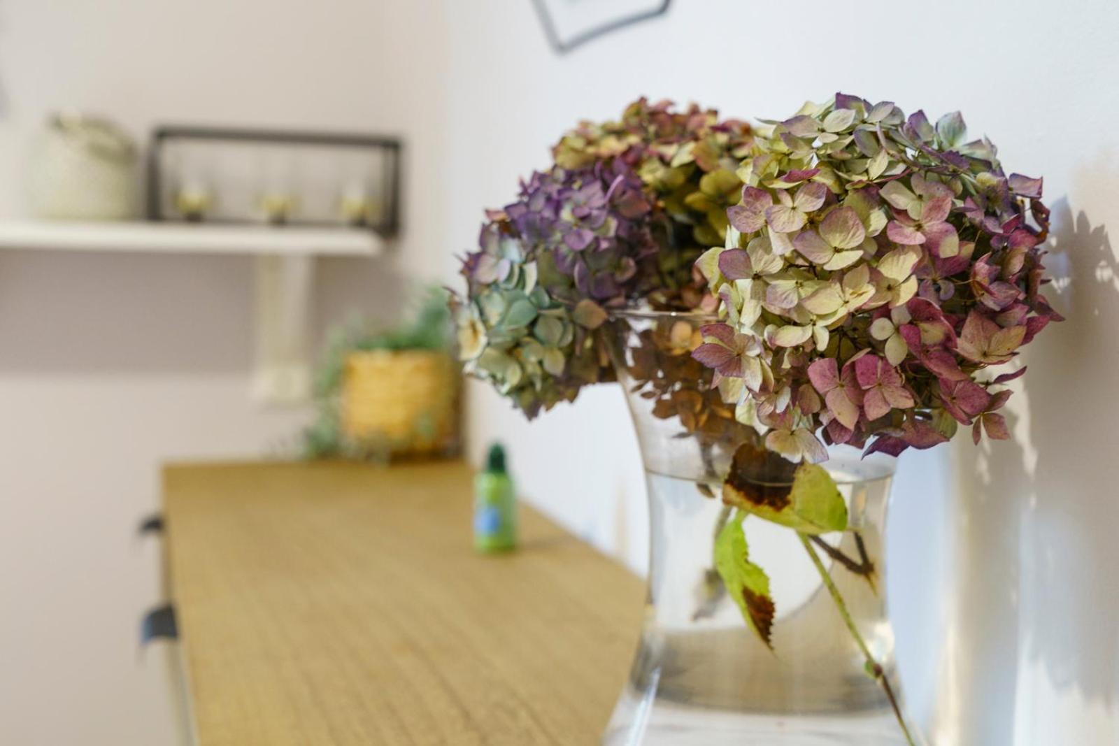 Close To City Centre Stylish 3 Bedroom House Белфаст Экстерьер фото